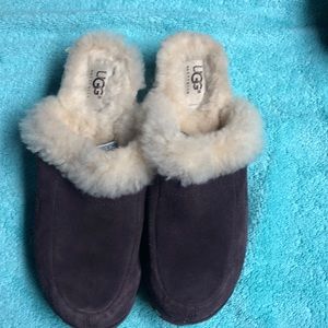 Ugg clogs